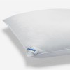 Oreiller Tempur Traditional